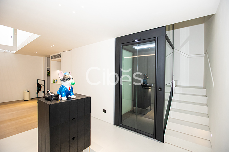 Cibes大发500浙江温州家用电梯案例