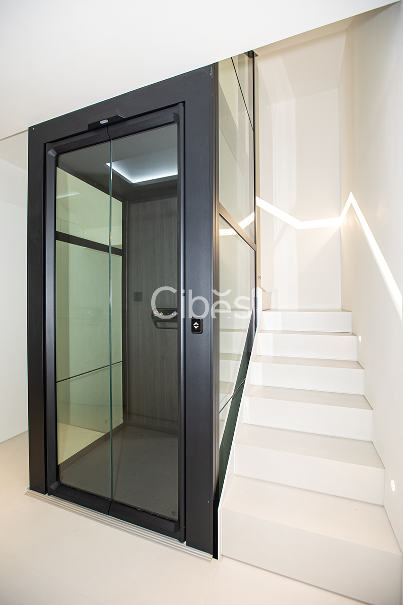 Cibes大发500浙江温州家用电梯案例