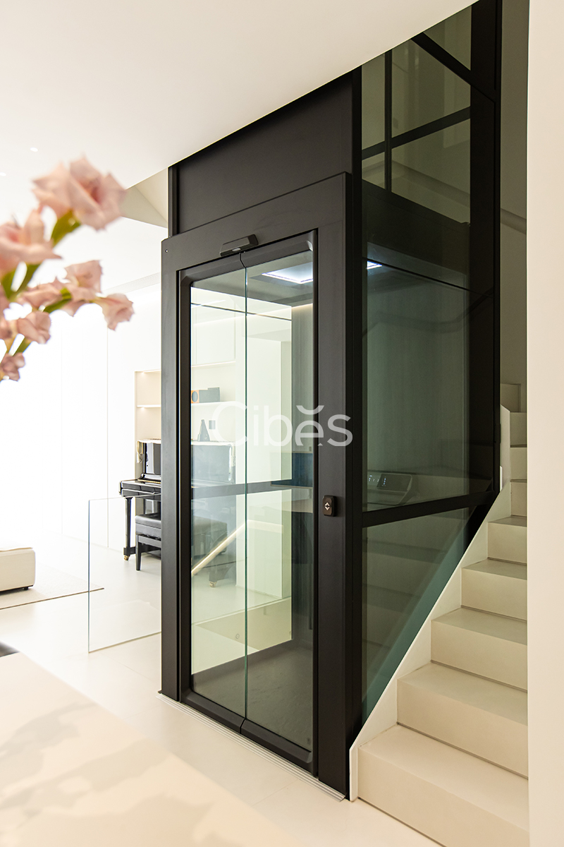 Cibes大发500浙江温州家用电梯案例