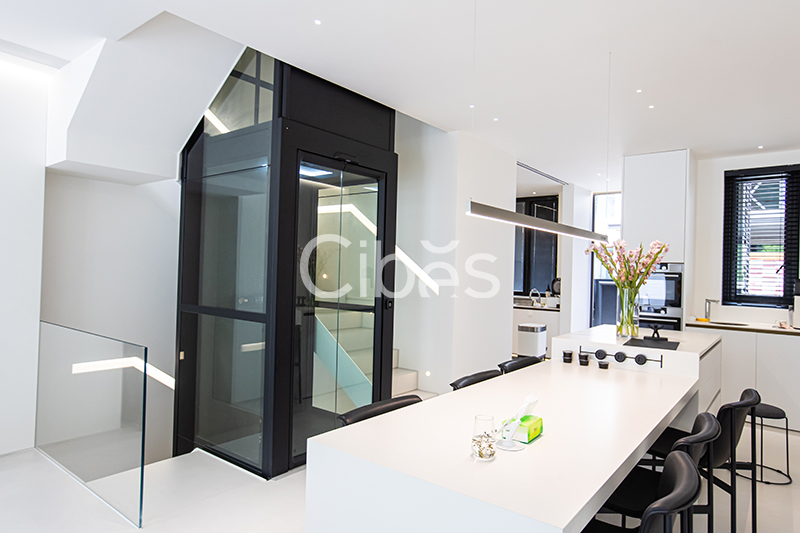 Cibes大发500浙江温州家用电梯案例