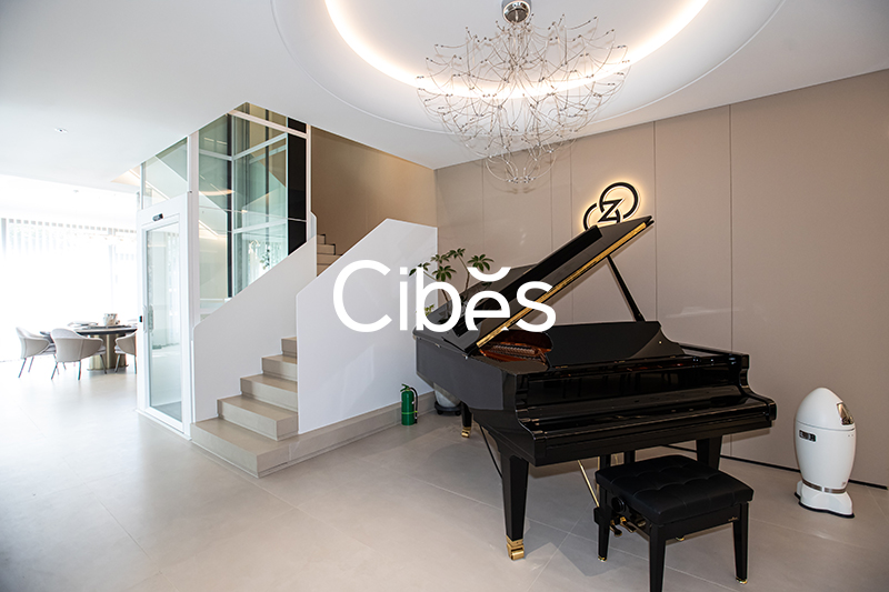 Cibes大发500浙江台州家用电梯案例