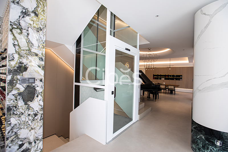 Cibes大发500浙江台州家用电梯案例