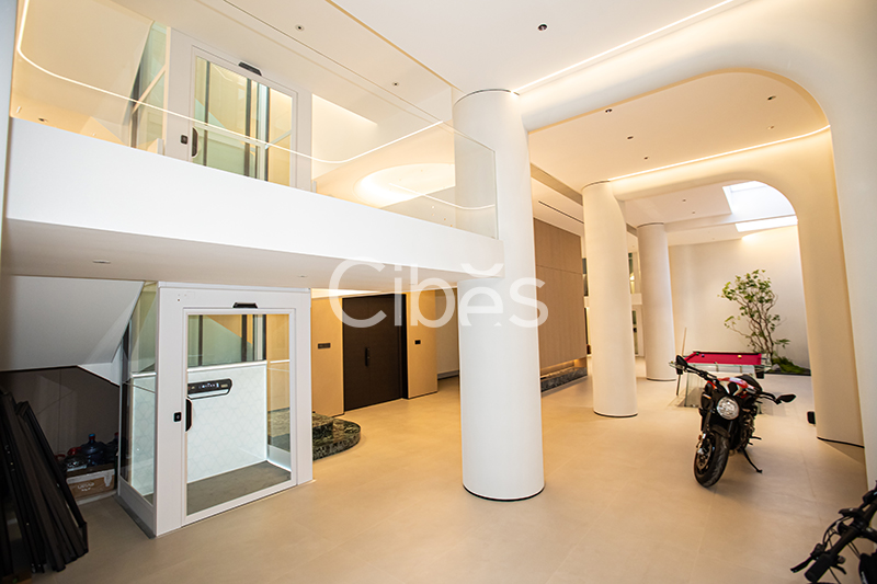 Cibes大发500浙江台州家用电梯案例