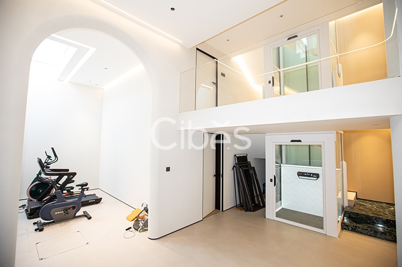 Cibes大发500浙江台州家用电梯案例