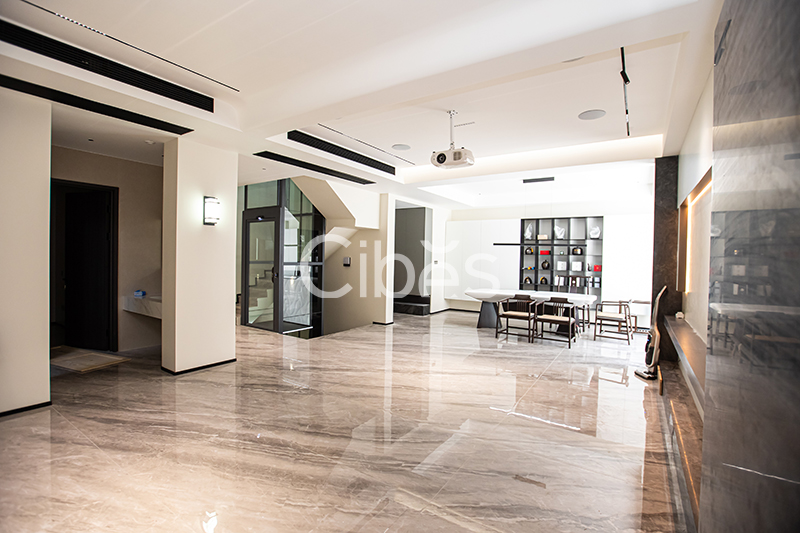 Cibes大发500浙江台州家用电梯案例