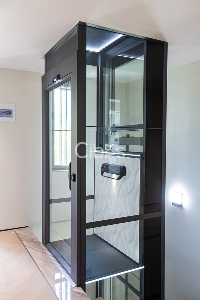 Cibes大发500浙江台州家用电梯案例