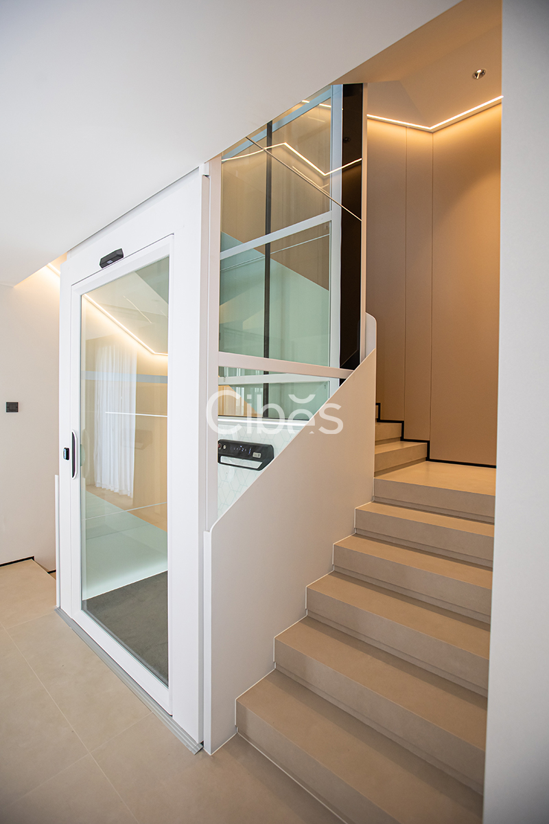 Cibes大发500浙江台州家用电梯案例