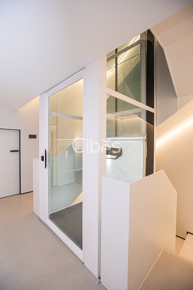 Cibes大发500浙江台州家用电梯案例