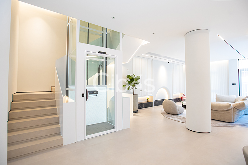 Cibes大发500浙江台州家用电梯案例