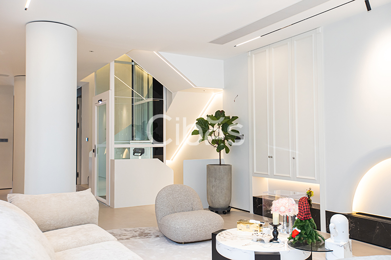 Cibes大发500浙江台州家用电梯案例