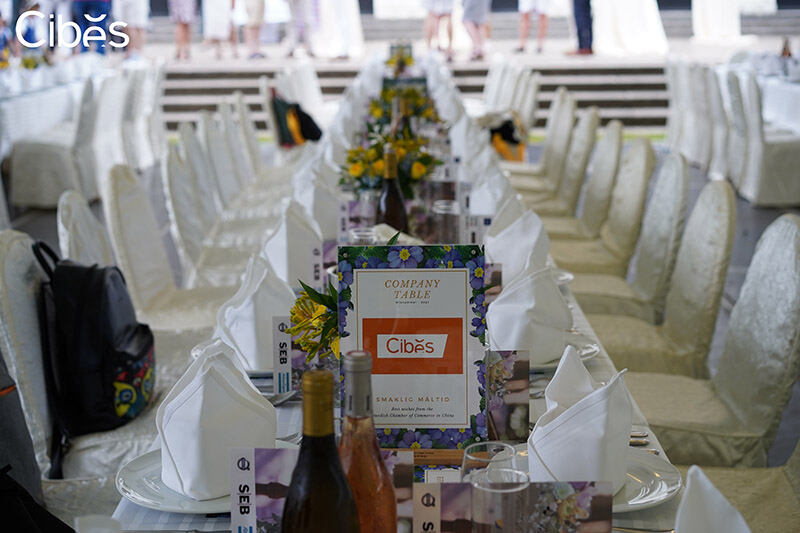 CIBES大发500家用电梯 | 邀您共庆瑞典仲夏节，，，，，，共享夏日优美时光！ - Cibes大发500瑞典品牌电梯