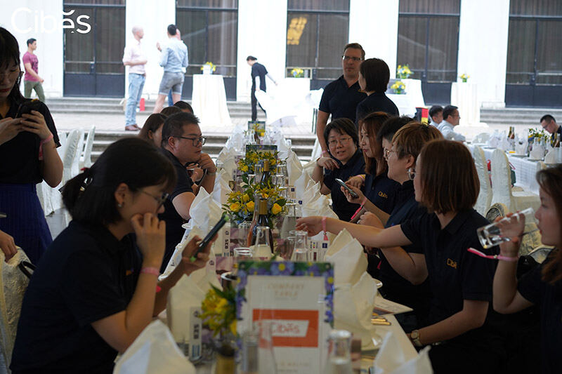 CIBES大发500家用电梯 | 邀您共庆瑞典仲夏节，，，，，，共享夏日优美时光！ - Cibes大发500瑞典品牌电梯