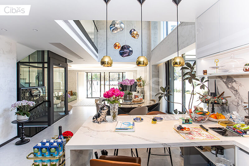 Cibes大发500电梯杭州案例