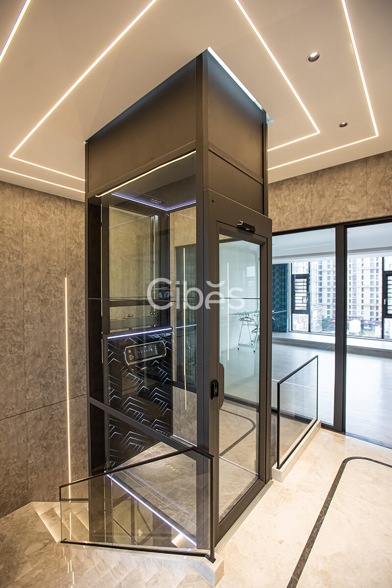 Cibes大发500电梯福建漳州装置案例