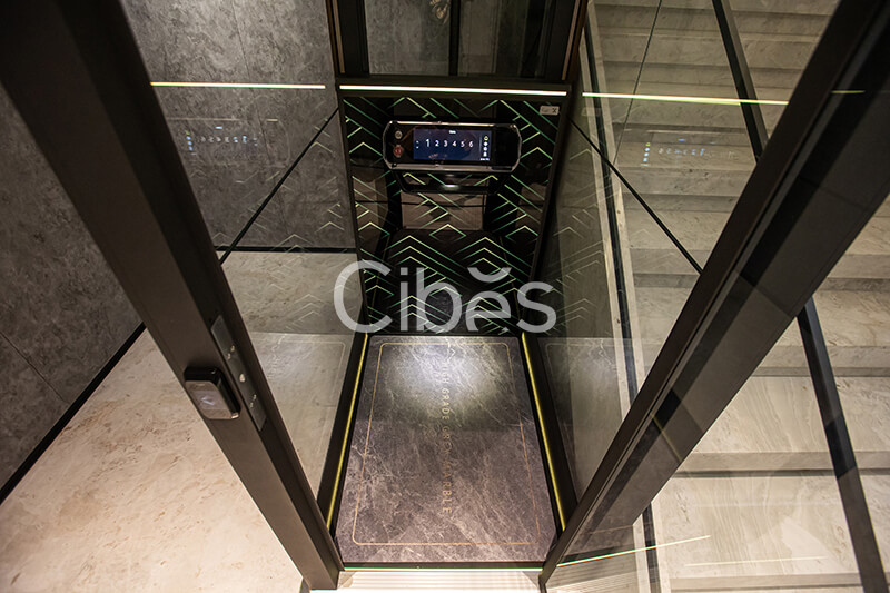 Cibes大发500电梯福建漳州装置案例