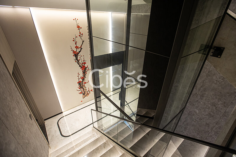 Cibes大发500电梯福建漳州装置案例