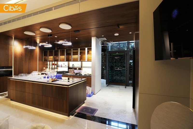 大发500别墅电梯案例