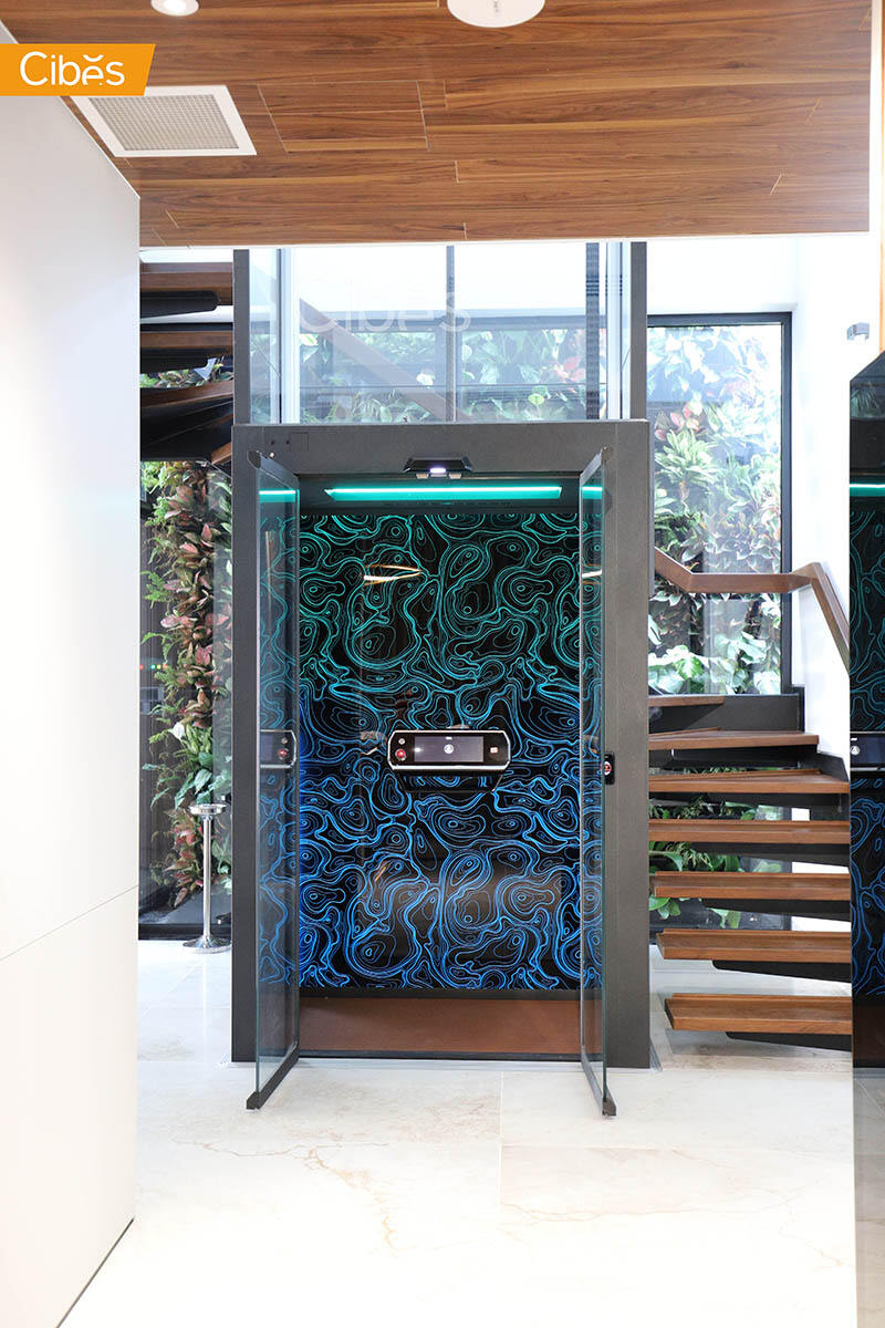 大发500别墅电梯案例