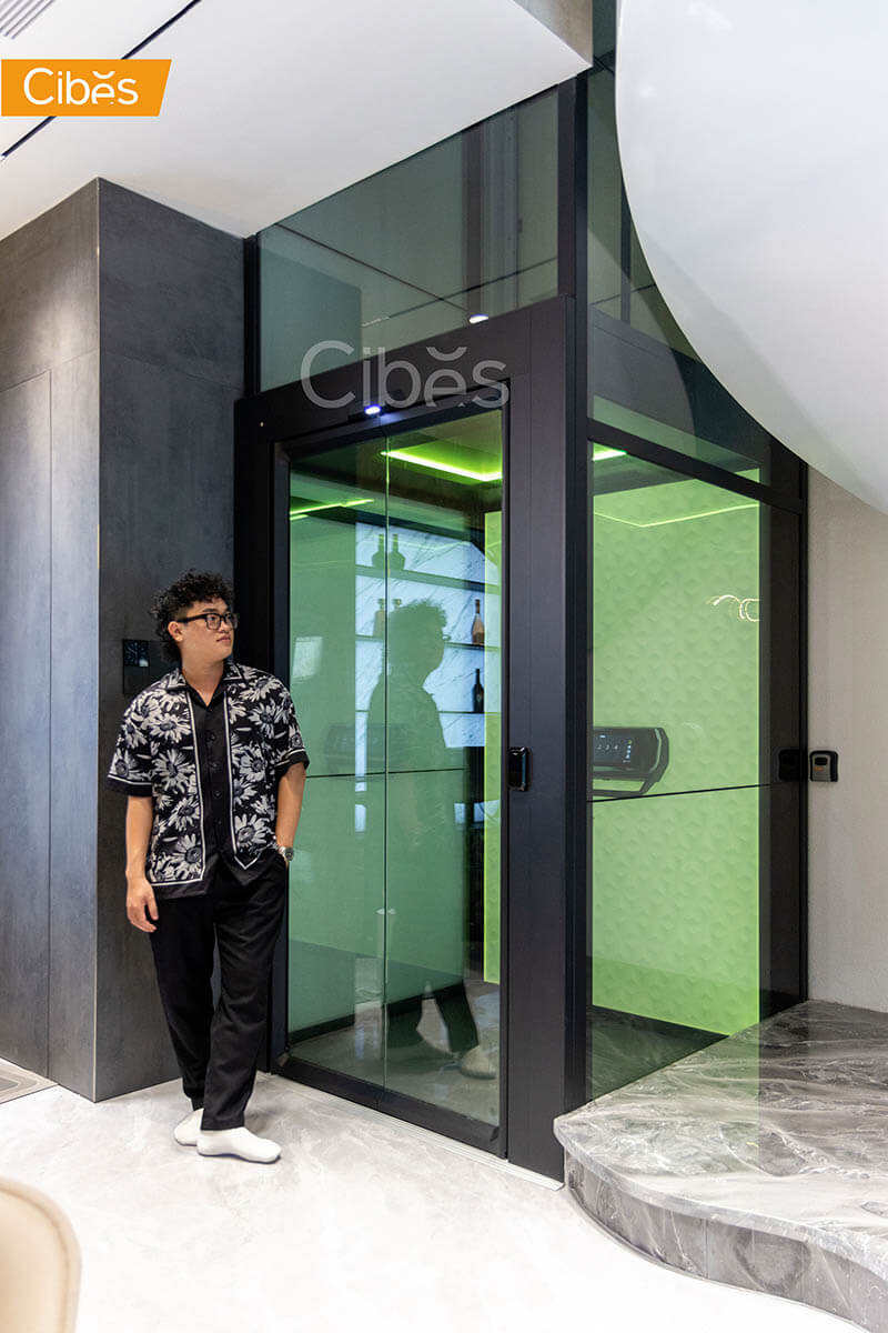 大发500别墅电梯案例