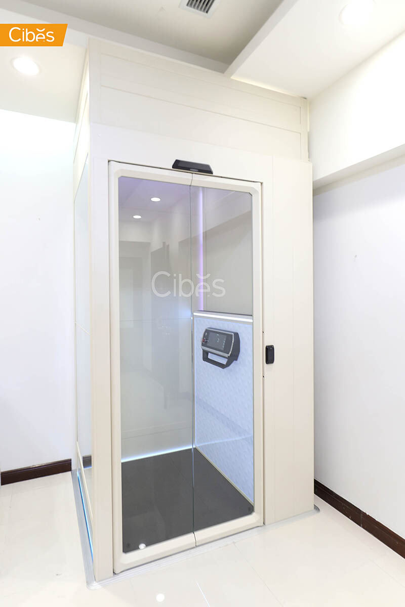 大发500别墅电梯案例