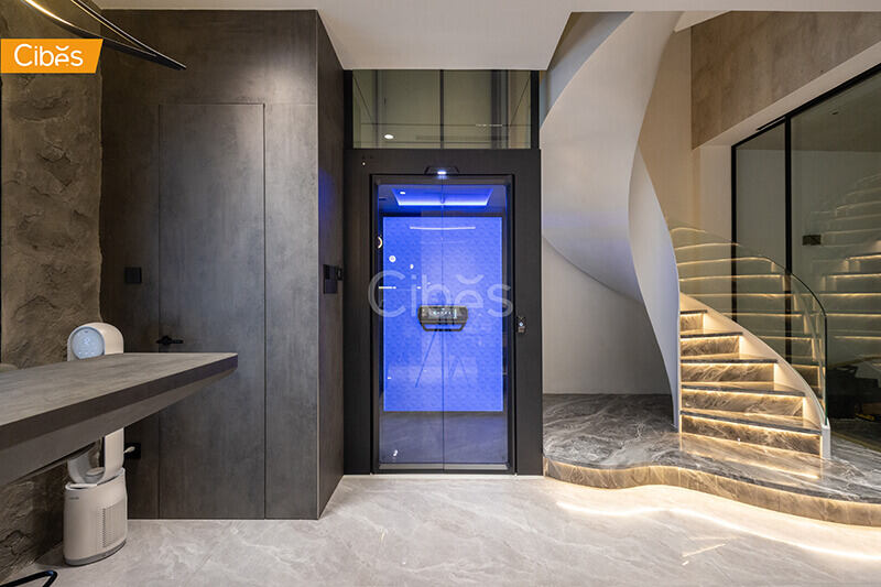 大发500别墅电梯案例