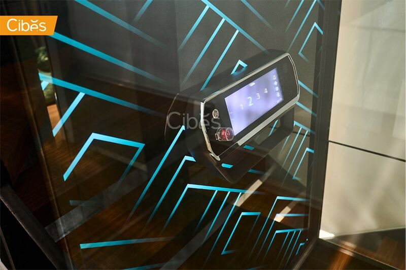 大发500别墅电梯案例