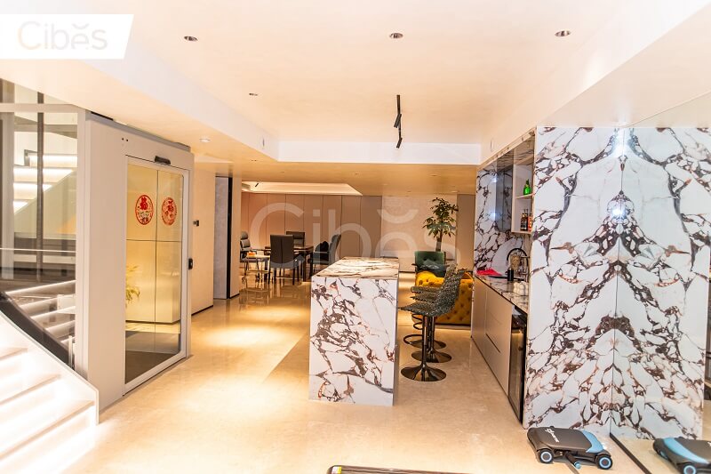 Cibes大发500家用电梯案例