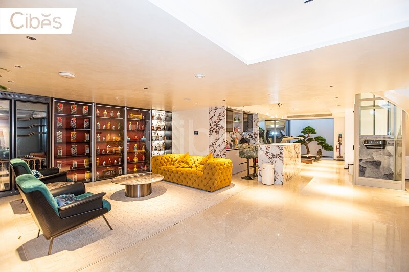 Cibes大发500家用电梯案例