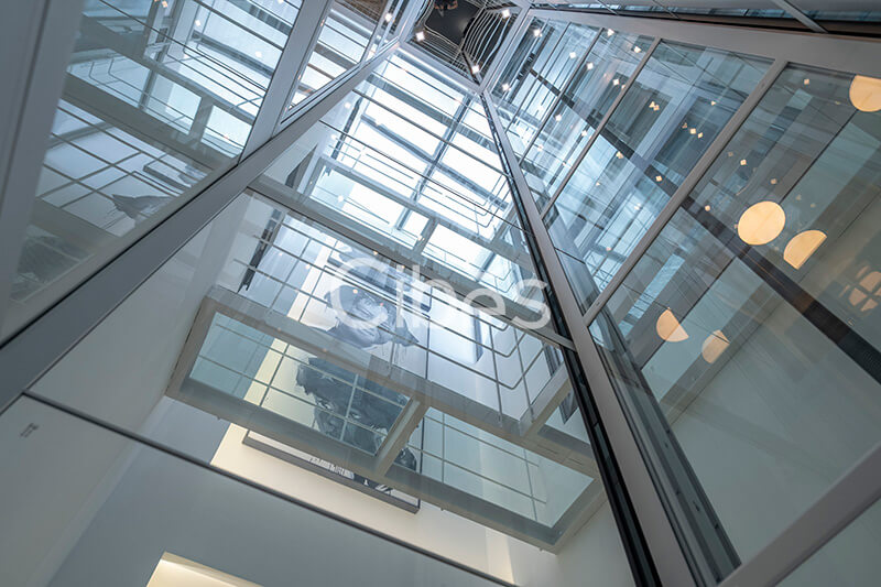 Cibes大发500大理别墅电梯案例