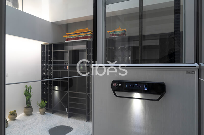 Cibes大发500大理别墅电梯案例