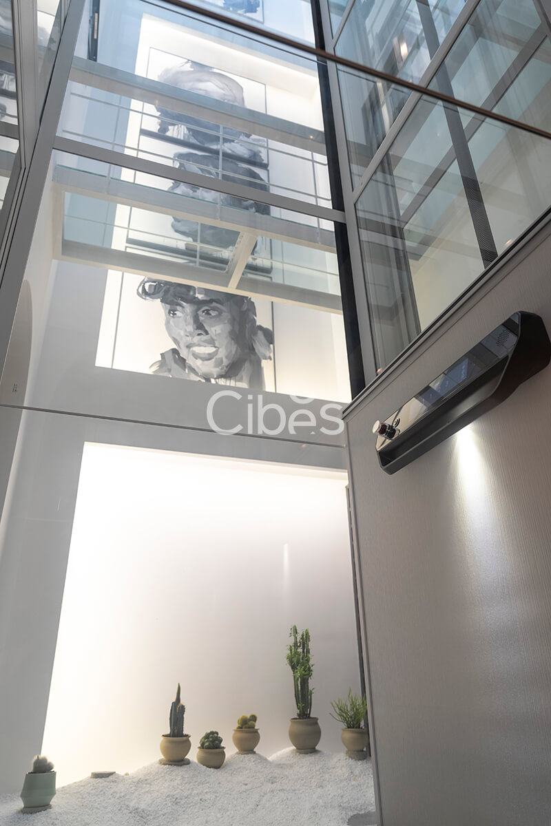 Cibes大发500大理别墅电梯案例