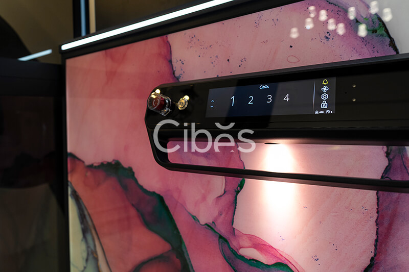 Cibes大发500昆明别墅电梯案例