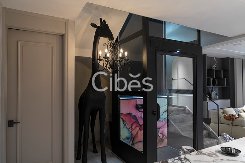 Cibes大发500昆明别墅电梯案例