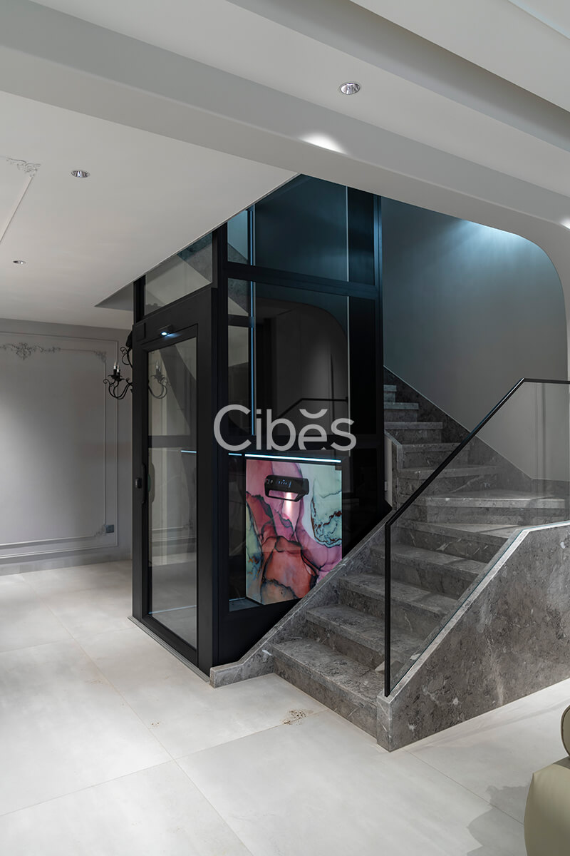 Cibes大发500昆明别墅电梯案例