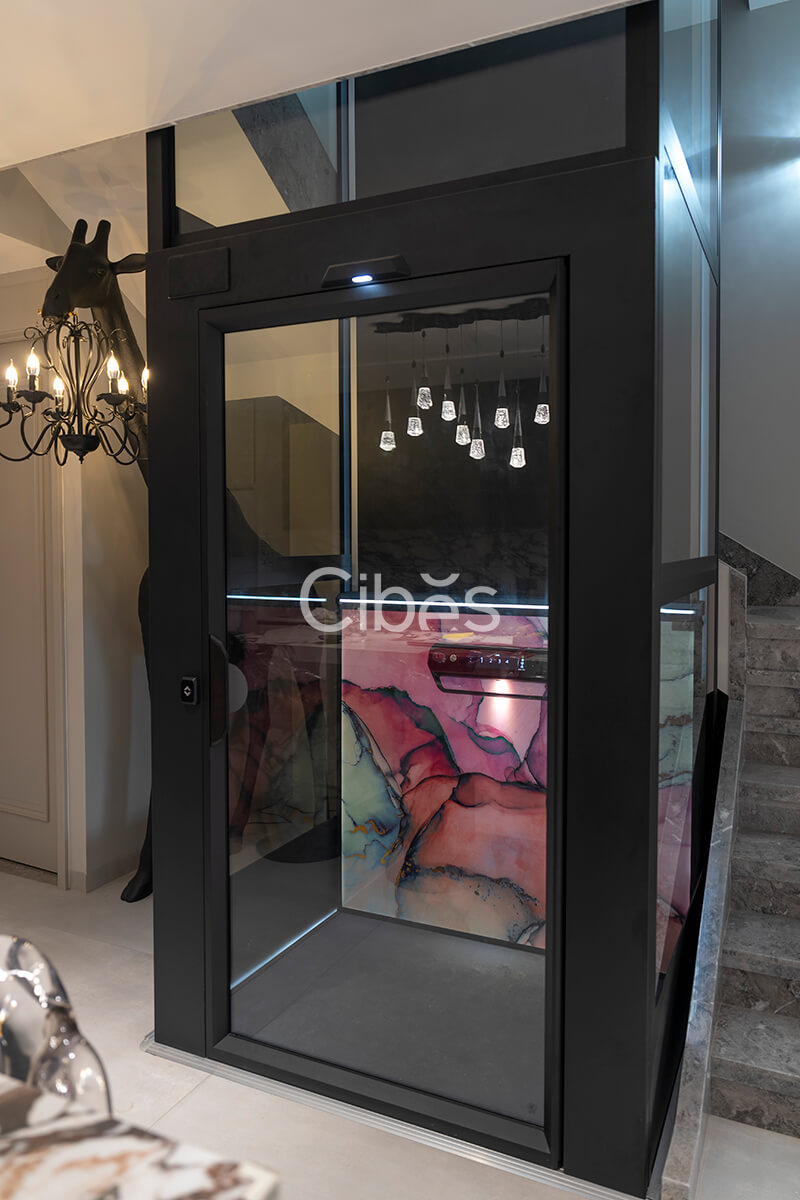 Cibes大发500昆明别墅电梯案例