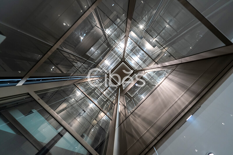 Cibes大发500自贡别墅电梯案例