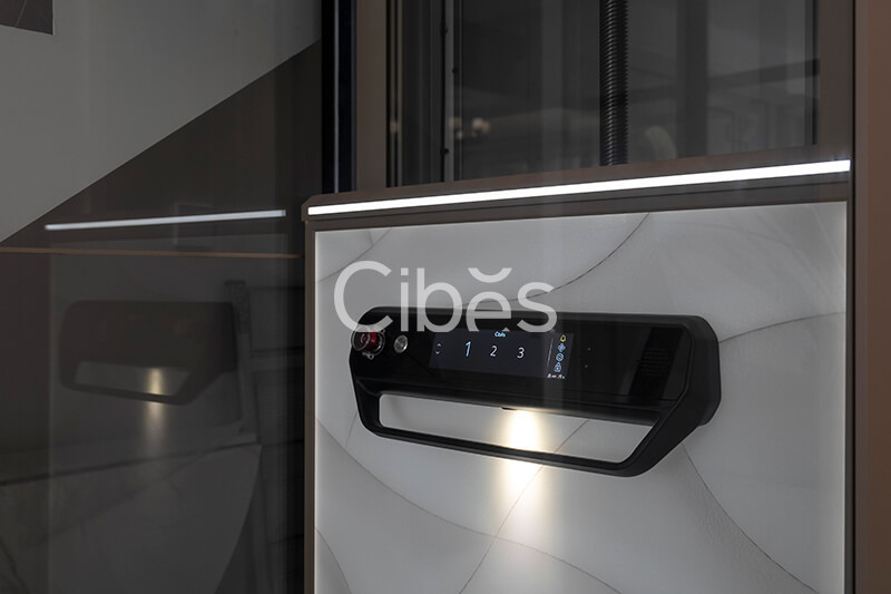 Cibes大发500自贡别墅电梯案例