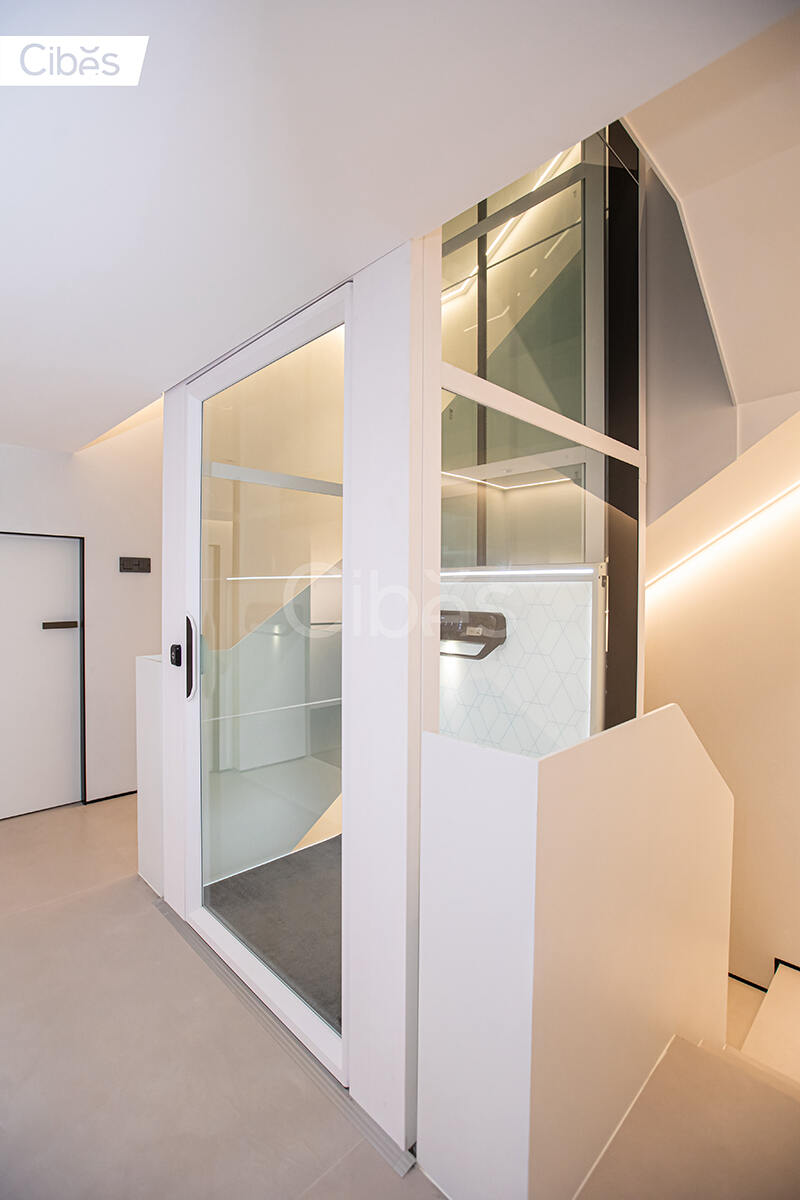 Cibes别墅电梯台州案例