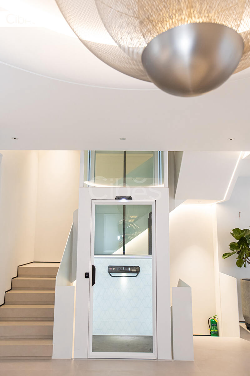 Cibes别墅电梯台州案例