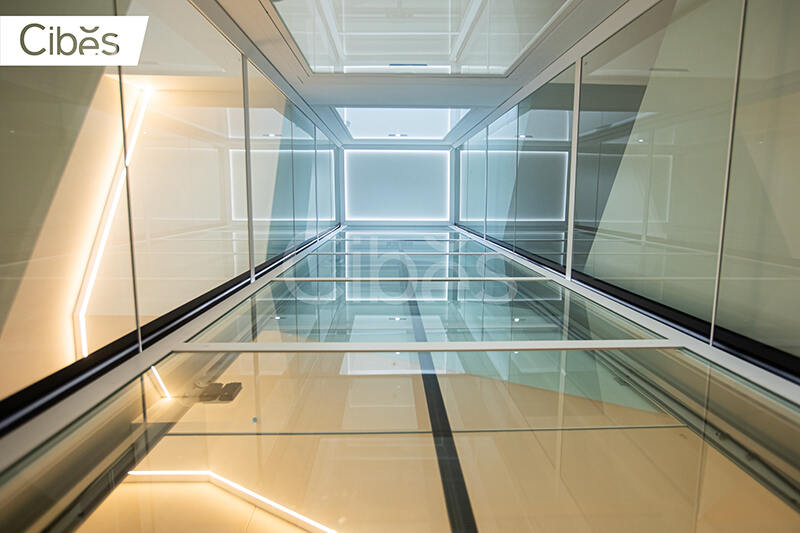 Cibes别墅电梯台州案例