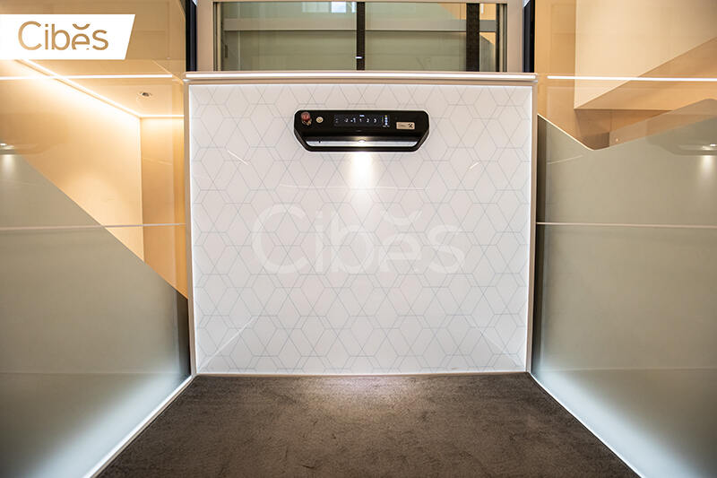 Cibes别墅电梯台州案例