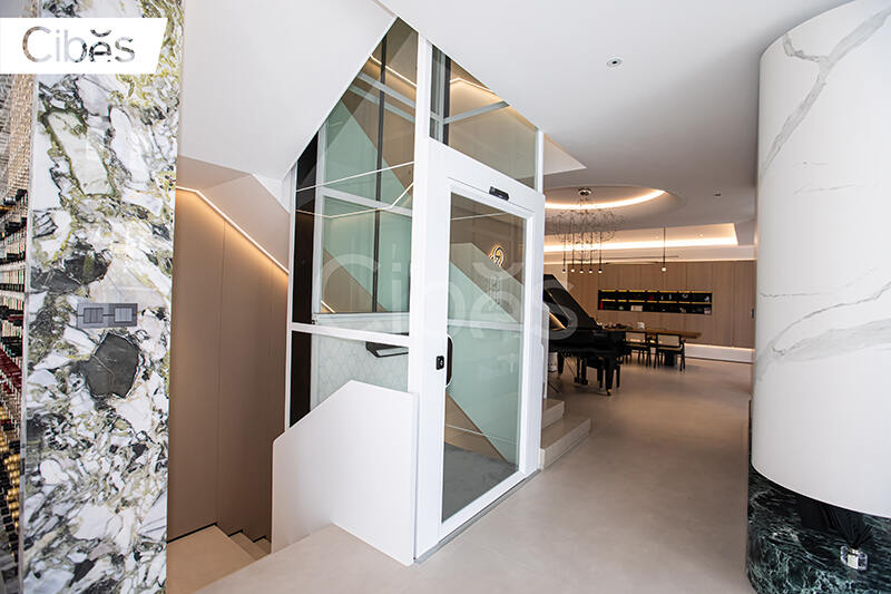 Cibes别墅电梯台州案例