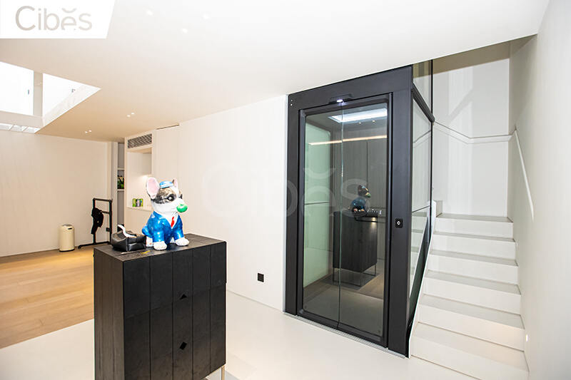 温州别墅电梯案例