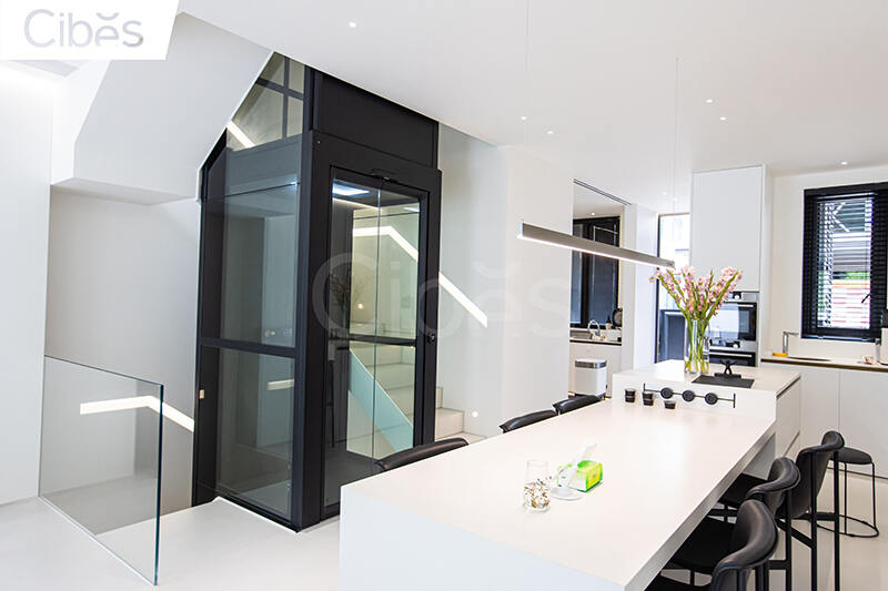 温州别墅电梯案例