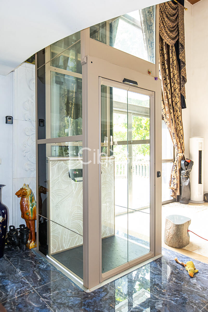 广东广州家用电梯案例