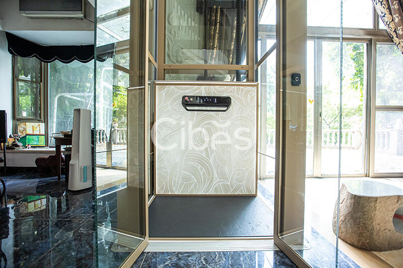 广东广州家用电梯案例