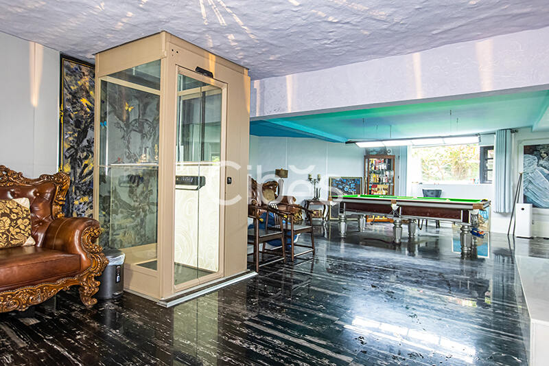 广东广州家用电梯案例