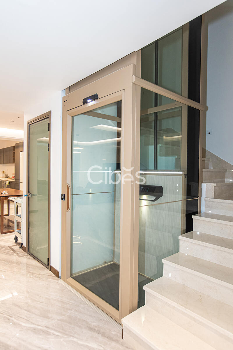 广东珠海家用电梯案例