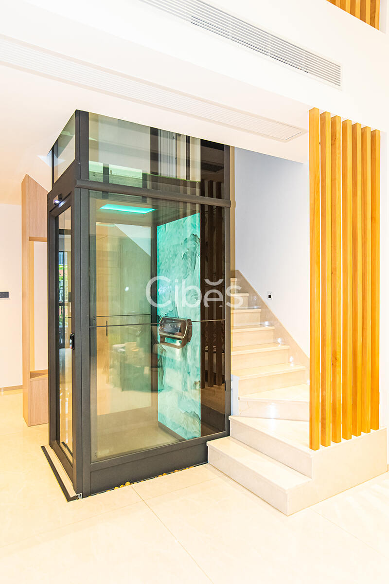 广东珠海家用电梯案例