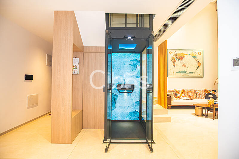 广东珠海家用电梯案例